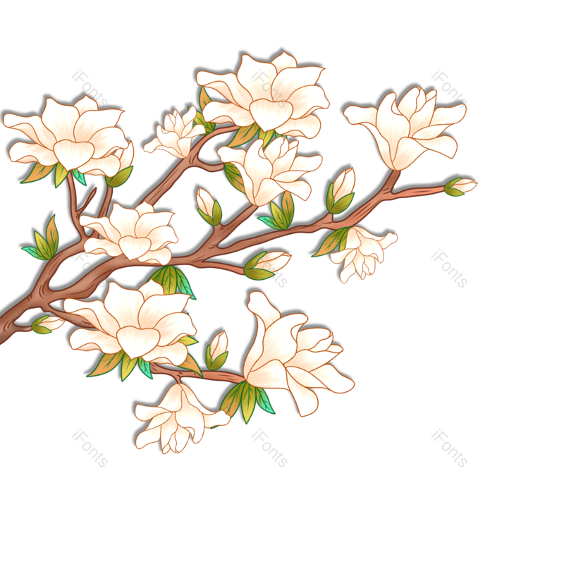 花卉图片,春天元素,植物PNG,免抠素材